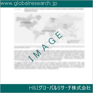 グローバルリサーチ調査資料のイメージ